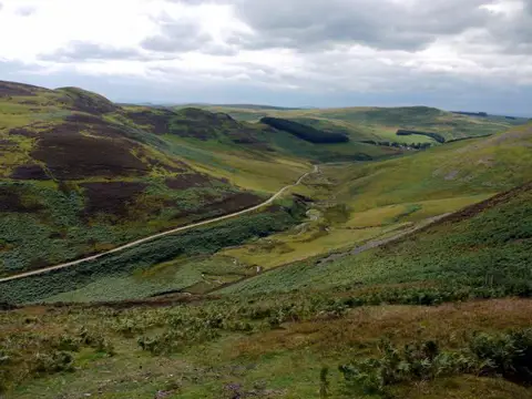 NT8017 : Heatherhope Burn from slopes of  Blackbrough Hill