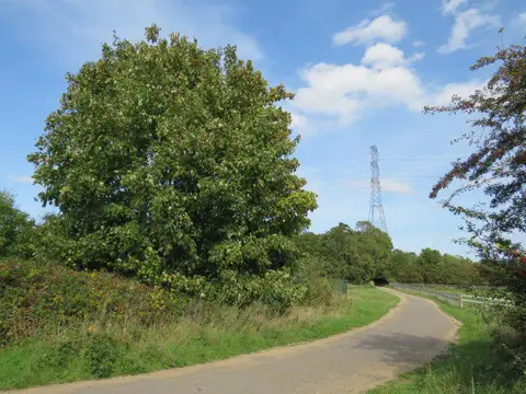 TQ4287 : Path near Wanstead