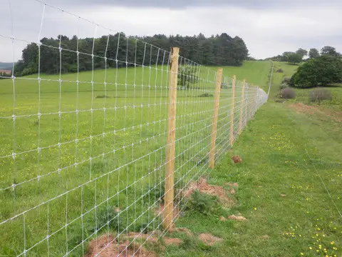SS9942 : New deer fence, Dunster Park