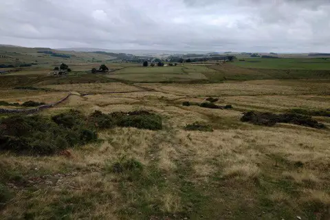 NY9393 : View to Landshot Farm and Elsdon