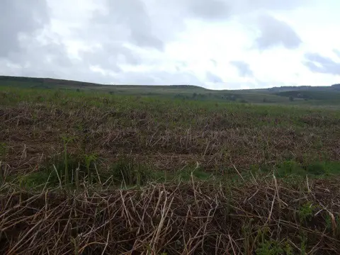 SK2674 : Rough grazing near Curbar
