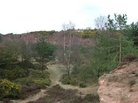 SJ9344 : Country Park