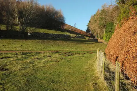 NT9616 : Bridleway. Linhope