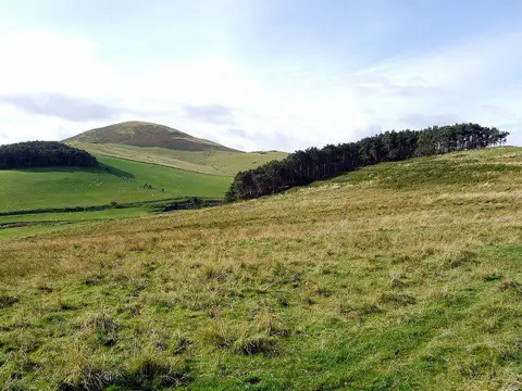 NT8928 : Forest plantation below White Hill