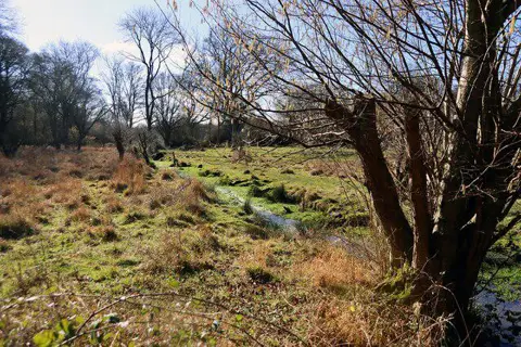 TL5321 : Shermore Brook, Hatfield Forest