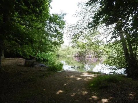 NZ0881 : Bolam Lake