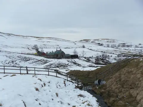 NT8425 : Burnhead Farm