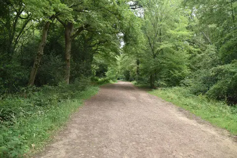 TQ4095 : Centenary Walk, Epping Forest