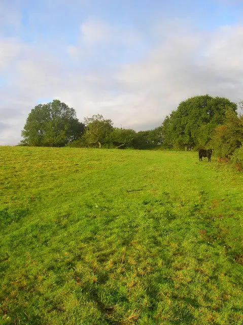 TQ2712 : Bridleway Shortcut, Newtimber Hill