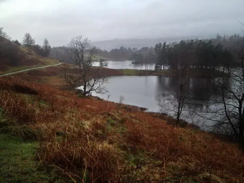 SD3399 : View from the perimeter path round Tarn Hows