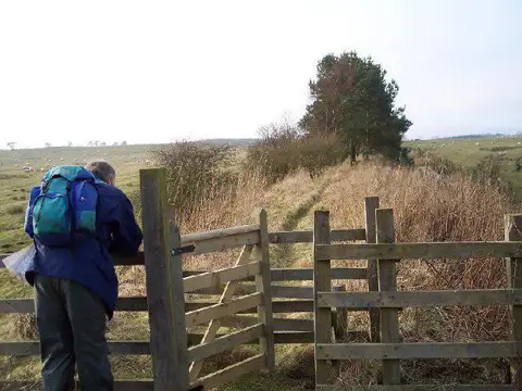 NZ0186 : 'Wannie Line' nr Rugley Walls, Scotsgap, Northumberland.