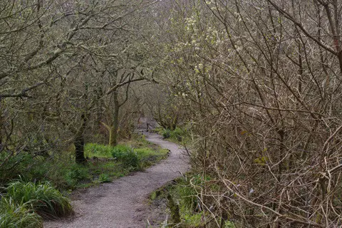 SW6526 : Path across the Loe Valley