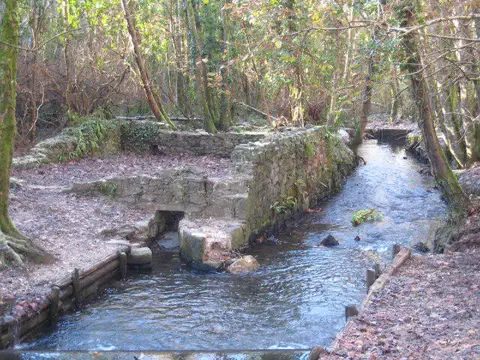 SW6443 : Ruined otter trap