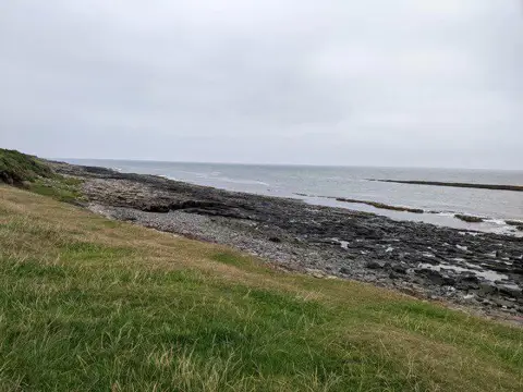 NU2520 : The North Sea seen from the Northumberland Coast Path