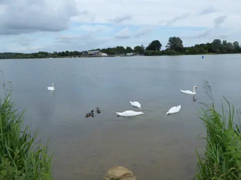 Image shared for Ferry Meadows from Lynch Wood Peterborough