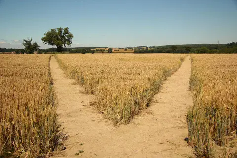 SK6656 : Two ways