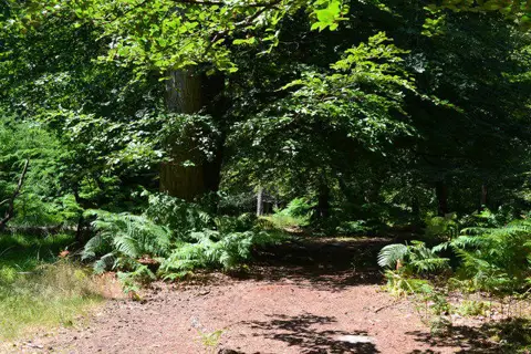 SU2400 : Path in Wilverley Inclosure