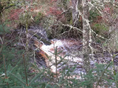 NT7800 : Waterfall, Blakehope Burn