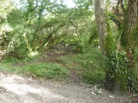 SW6525 : Part of Loe Marsh