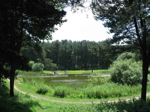 SJ9344 : Weston Coyney