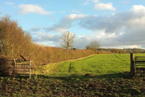 SP1821 : Field and boundary near Wyck Rissington