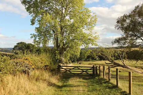 NT9502 : Track to Holystone