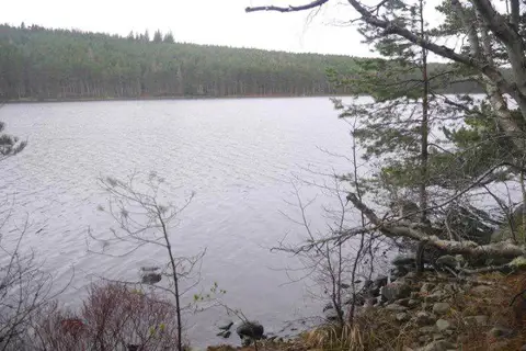 NH6490 : Loch Migdale