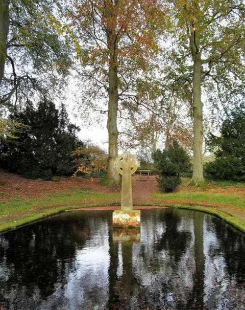 Image shared for Lady's Well from Holystone Wood