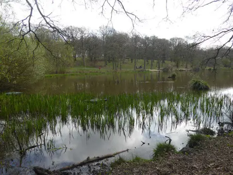Image shared for Thorndon Country Park: Jury Hill, woodland and Old Hall Pond