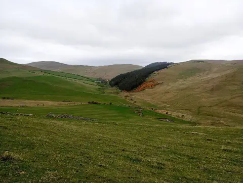 NT8728 : Elsdonburn from the side of Great Hetha