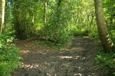 SO7547 : Bridleway junction, Six Acre Wood