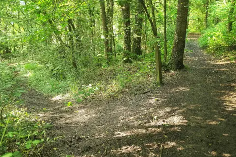 SO7547 : Bridleway junction, Six Acre Wood