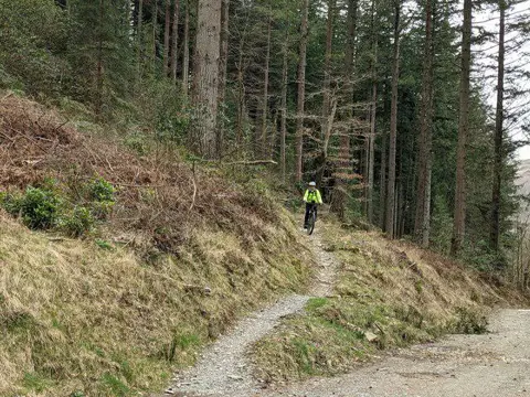 SH7324 : A bike trail joins the forest track
