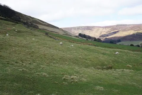 SK1185 : Sheep in Edale