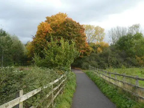 SX9390 : Autumn colour, Duck's Marsh, Exeter