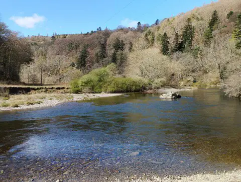 NT2340 : River Tweed below Neidpath Castle