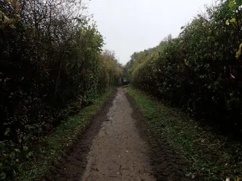 SE2127 : Warrens Lane, Oakwell Hall Country Park