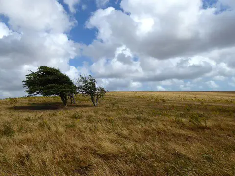 TQ2510 : Fulking Hill