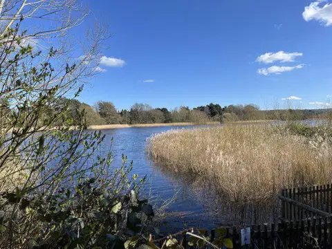 SU8541 : View from bird hide, Little Frensham Pond