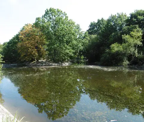 TQ4187 : Heronry Pond, Wanstead Park