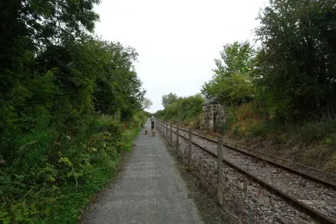 NU2111 : Walking dogs beside the Aln Valley Railway