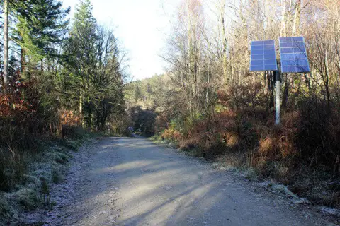 SH7226 : Trail through Coed-y-Brenin