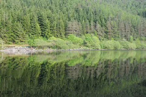 SH7561 : Reflections in Llyn Crafnant Reservoir