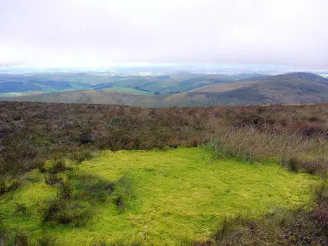 NT8921 : Sphagnum bog on West Hill
