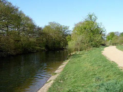 TQ4187 : Heronry Pond, Wanstead Park