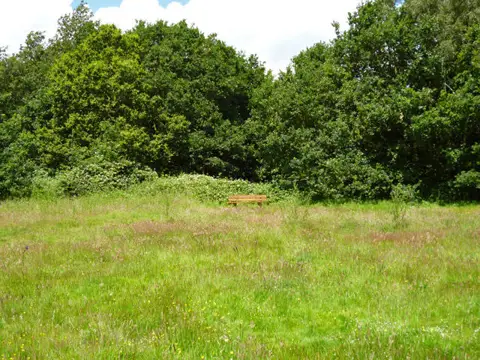 TQ5694 : Bench in Weald Country Park
