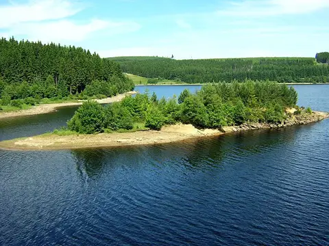 NY6490 : Island in Kielder Water