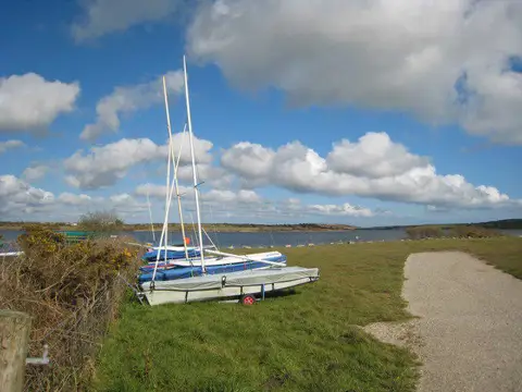 SW7036 : Sailing dinghies on the bank of Stithians Reservoir