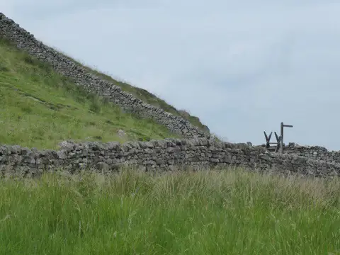 NY7868 : Hadrian's Wall Path near Turret 37A