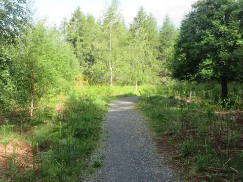Image shared for Potarch to Shooting Greens: Deeside Way return